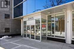 245 OUELLETTE AVENUE Unit# 301 Windsor