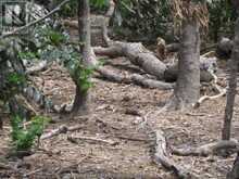 V/L MIDDLE SISTER ISLAND Pelee Island