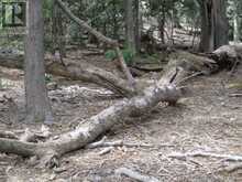 V/L MIDDLE SISTER ISLAND Pelee Island