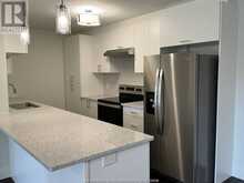 2550 SANDWICH WEST PARKWAY Unit# 203 LaSalle