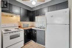 150 PARK Unit# 1706 Windsor