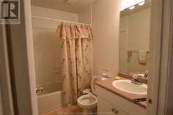 3160 WILDWOOD DRIVE Unit# 217 Windsor