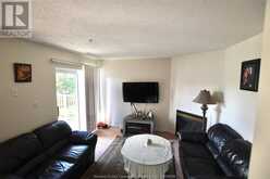 3160 WILDWOOD DRIVE Unit# 217 Windsor