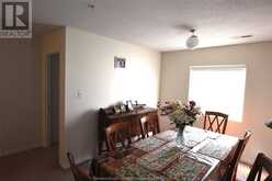 3160 WILDWOOD DRIVE Unit# 217 Windsor