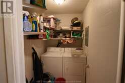 3160 WILDWOOD DRIVE Unit# 217 Windsor