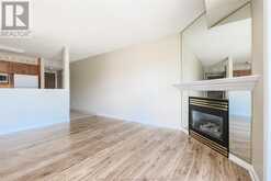 1323 LANGLOIS AVENUE Unit# 301 Windsor