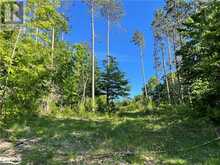 LOT 12 14 CONCESSION ROAD E Tiny