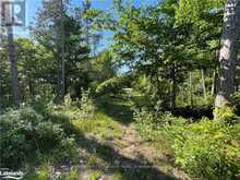 LOT 12 14 CONCESSION ROAD E Tiny