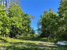 LOT 12 14 CONCESSION ROAD E Tiny