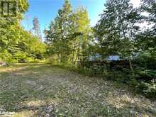 LOT 12 14 CONCESSION ROAD E Tiny