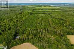 LOT 12 14 CONCESSION ROAD E Tiny