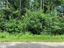 LOT 524 TALL PINES DRIVE Tiny