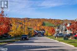 147 YELLOW BIRCH CRESCENT The Blue Mountains