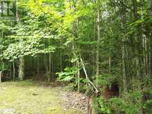 LOT 3 CHAMPLAIN ROAD Tiny