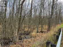 PT LT 1-2 CONCESSION ROAD 3 Georgian Bluffs