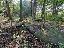 LOT 5 26 HIGHWAY Meaford