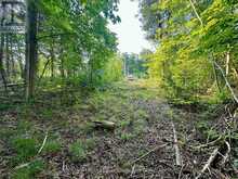 LOT 5 26 HIGHWAY Meaford