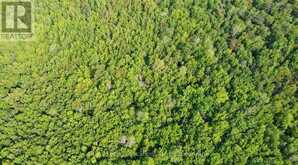 LOT 5 26 HIGHWAY Meaford