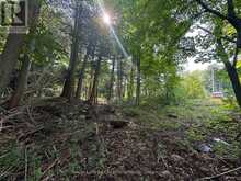 LOT 5 26 HIGHWAY Meaford