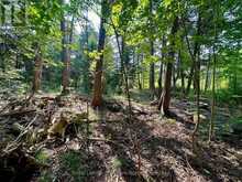 LOT 5 26 HIGHWAY Meaford