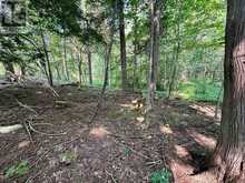 LOT 5 26 HIGHWAY Meaford