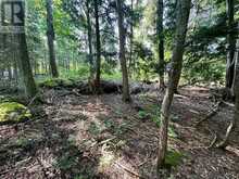 LOT 5 26 HIGHWAY Meaford