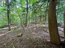 LOT 5 26 HIGHWAY Meaford