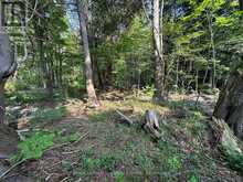 LOT 5 26 HIGHWAY Meaford