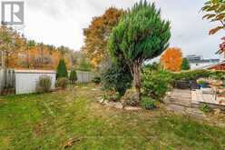 217 ELMIRA ROAD S Guelph