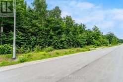 LOT 65 WHISPERING PINE CIRCLE Tiny