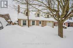 BASEMENT - 337 IRONWOOD ROAD Guelph