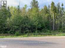 LOT 266 CHAMPLAIN ROAD Tiny