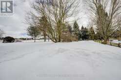 330 SLIGO ROAD W Wellington North