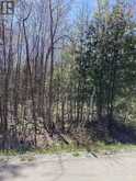 LOT 184 CHAMPLAIN ROAD Tiny