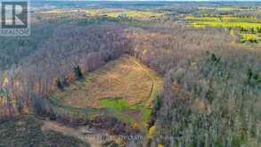 11648 HWY 7 HALTON HILL Halton Hills