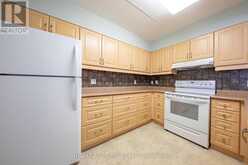 208 - 333 LAFONTAINE ROAD W Tiny