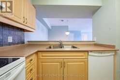 208 - 333 LAFONTAINE ROAD W Tiny