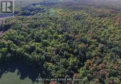 7406 17 SIDE ROAD Halton Hills