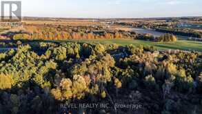 7404 WELLINGTON ROAD 11 ROAD Mapleton