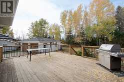 332 Ermine Crescent Fort McMurray