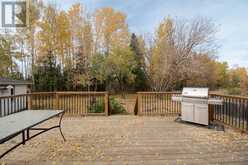 332 Ermine Crescent Fort McMurray