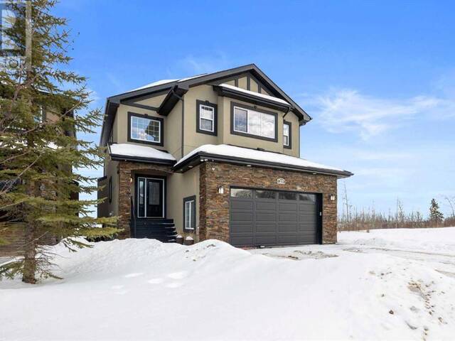 209 Stonecreek Landing Fort McMurray