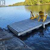 550 SHAWANAGA LAKE McDougall