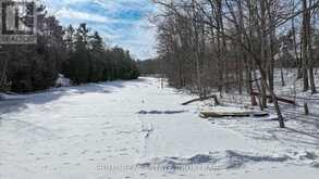 9919 PINERY LANE Lambton Shores