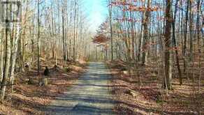 1079 Inawendawin Road Unit# LOT 3 Dorset