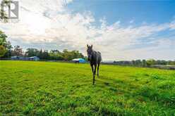 65 7TH CONCESSION Road E Flamborough