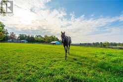 65 7TH CONCESSION Road E Flamborough