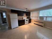 119 MACNAB Street S Unit# 4 Hamilton