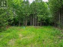 Lot 31 8th Concession B Grey Highlands