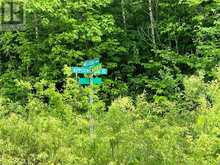 LOT F20 NIPPISSING RIDGE Road Tiny